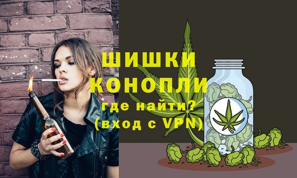 винт Арсеньев