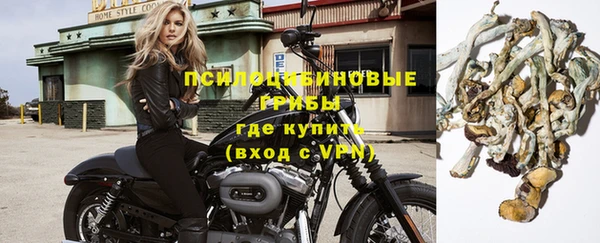 винт Арсеньев