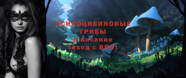 эйфоретик Приозерск